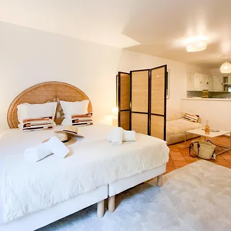 Apartment Place Des Lices - Nk *